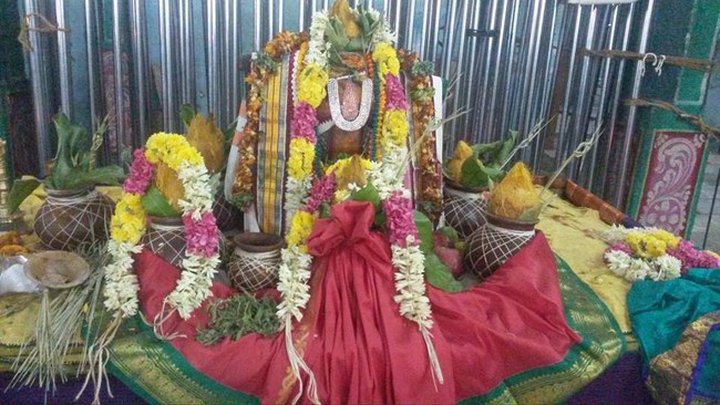 Thiruvinnagar Sri Oppilliappan Venkatachalapathi Temple ThiruPavithrotsavam13