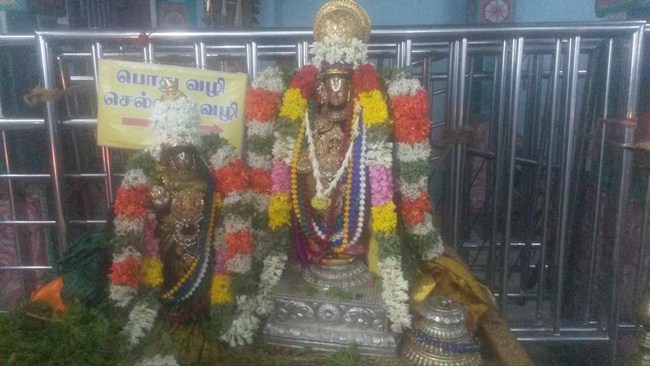 Thiruvinnagar Sri Oppilliappan Venkatachalapathi Temple ThiruPavithrotsavam3