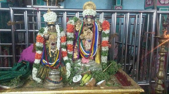 Thiruvinnagar Sri Oppilliappan Venkatachalapathi Temple ThiruPavithrotsavam5