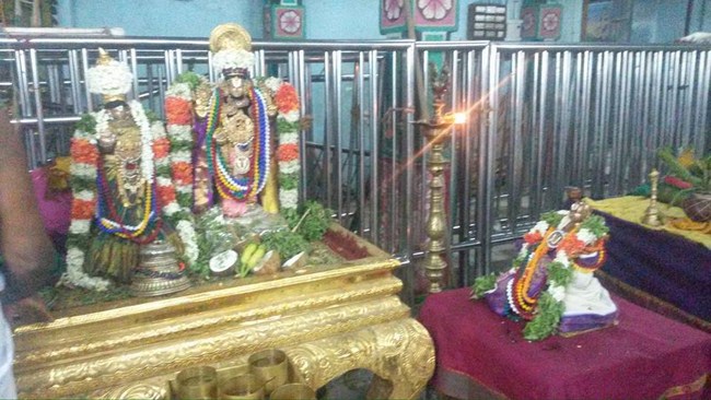 Thiruvinnagar Sri Oppilliappan Venkatachalapathi Temple ThiruPavithrotsavam6