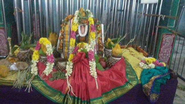 Thiruvinnagar Sri Oppilliappan Venkatachalapathi Temple ThiruPavithrotsavam7