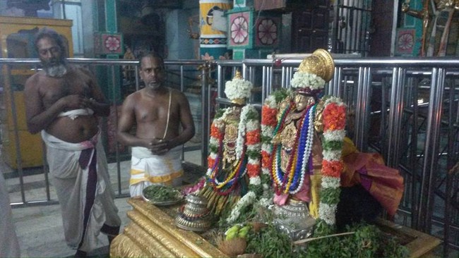 Thiruvinnagar Sri Oppilliappan Venkatachalapathi Temple ThiruPavithrotsavam9