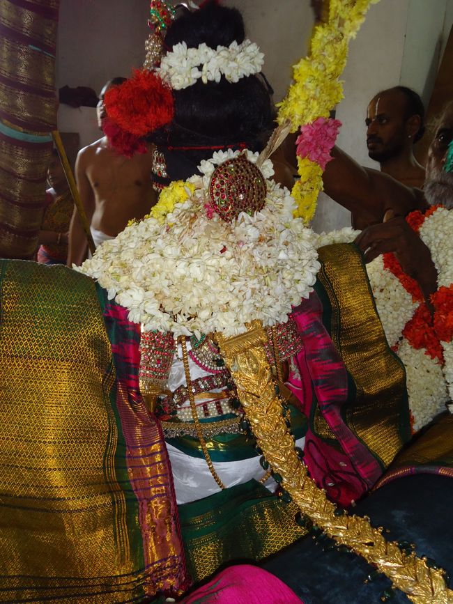Thoopul  Swami Desikan  Thirunakshatra Utsavam Thanga Chapparam day 2 Morning  2014 26
