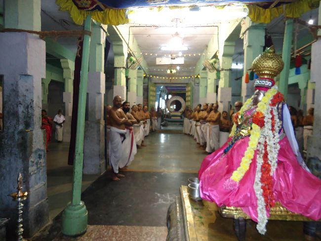 Thoopul Swami Desikan thirunakshatra utsavam Surya Prabhai Purappadu Sevakalam 2014 06