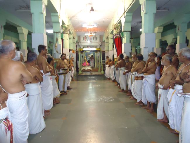 Thoopul Swami Desikan thirunakshatra utsavam Surya Prabhai Purappadu Sevakalam 2014 11