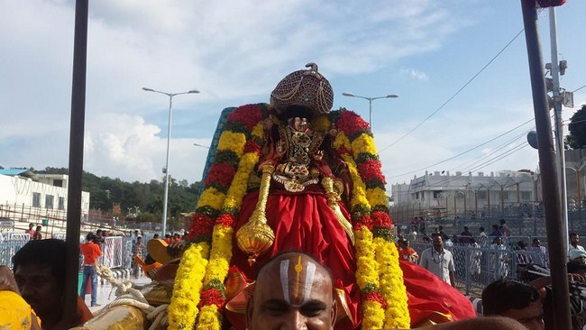 Tirumala Sri Malayappaswamy Temple Varshika Brahmotsavam Commences2