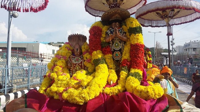 Tirumala Sri Malayappaswamy Temple Varshika Brahmotsavam Commences4