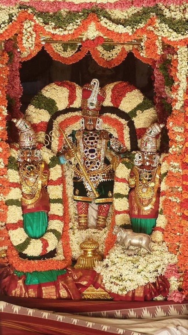 Tirumala Sri Malayappaswamy Temple Varshika Brahmotsavam13