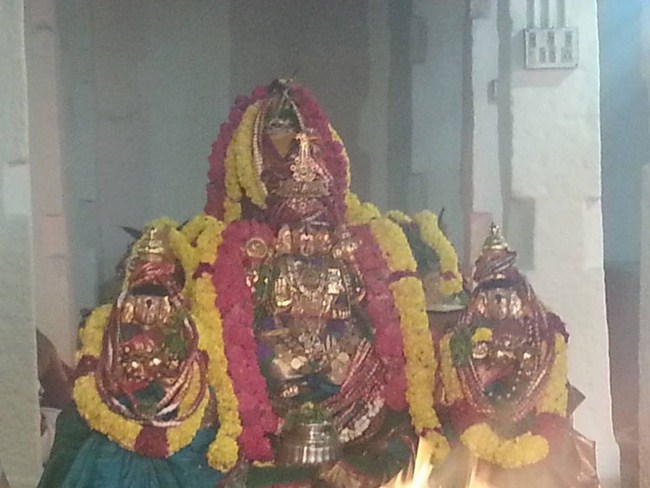 Tirupathi Sri Govindaraja Swamy Temple ThiruPavithrothsavam2