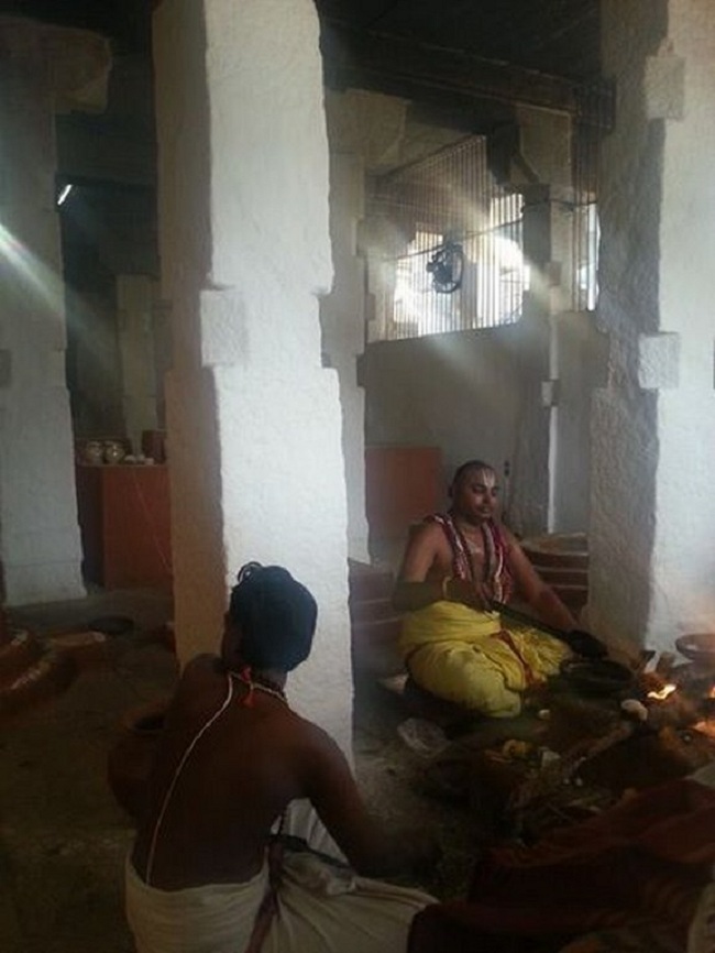 Tirupathi Sri Govindaraja Swamy Temple ThiruPavithrothsavam3