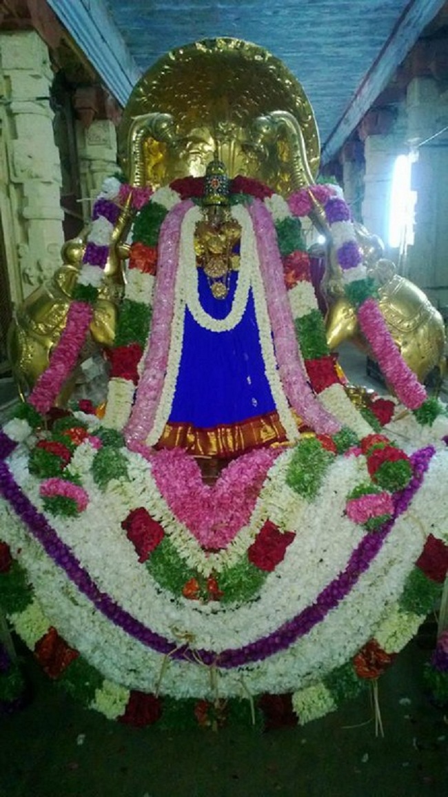 Vanamamalai Sri Deivanayaga Perumal Temple Ennaikappu Utsavam4