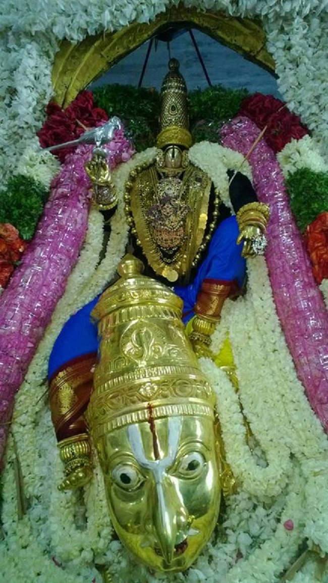 Vanamamalai Sri Deivanayaga Perumal Temple Ennaikappu Utsavam5