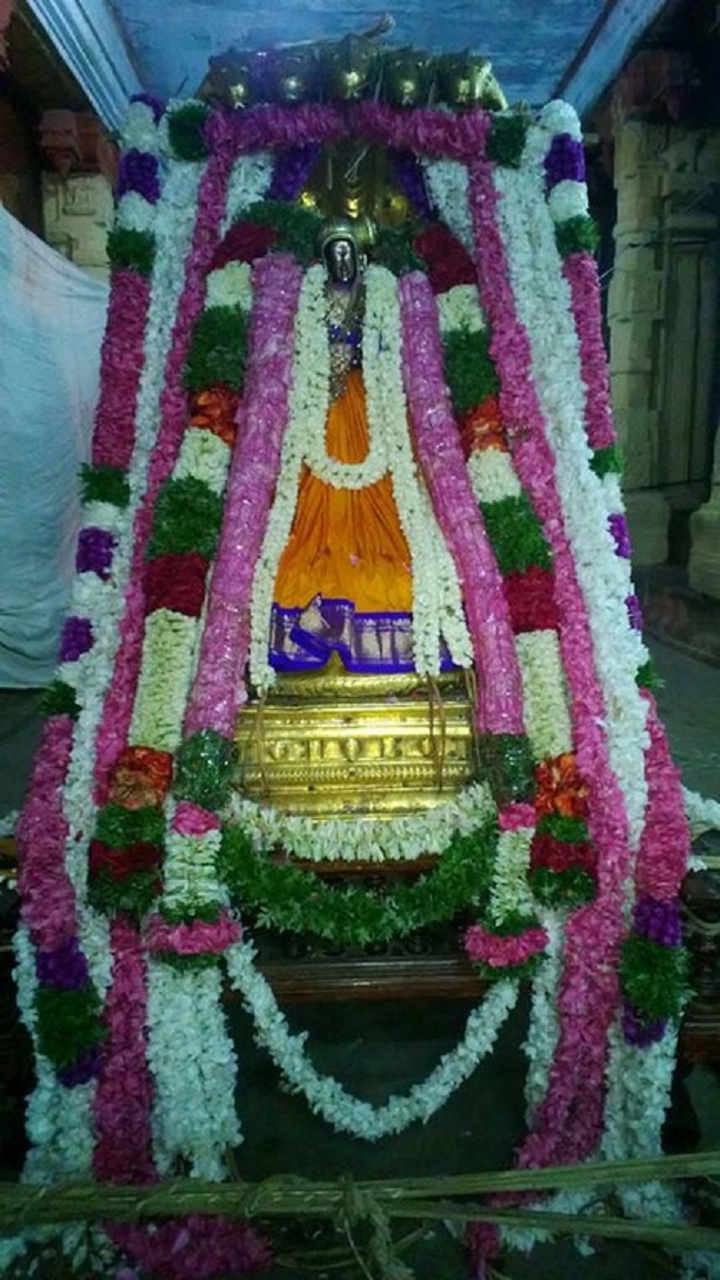 Vanamamalai Sri Deivanayaga Perumal Temple Ennaikappu Utsavam6