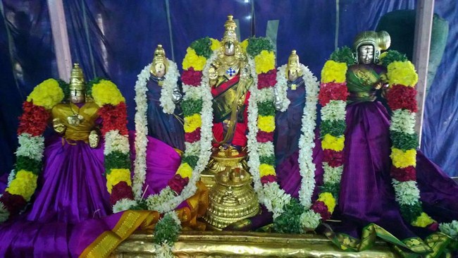 Vanamamalai Sri Deivanayaga Perumal Temple Jaya Varusha Pavithrotsavam Commences2