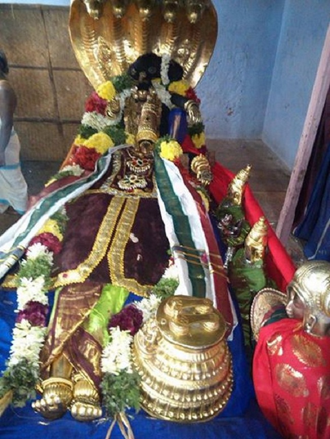 Vanamamalai Sri Deivanayaga Perumal Temple Jaya Varusha Pavithrotsavam Commences4