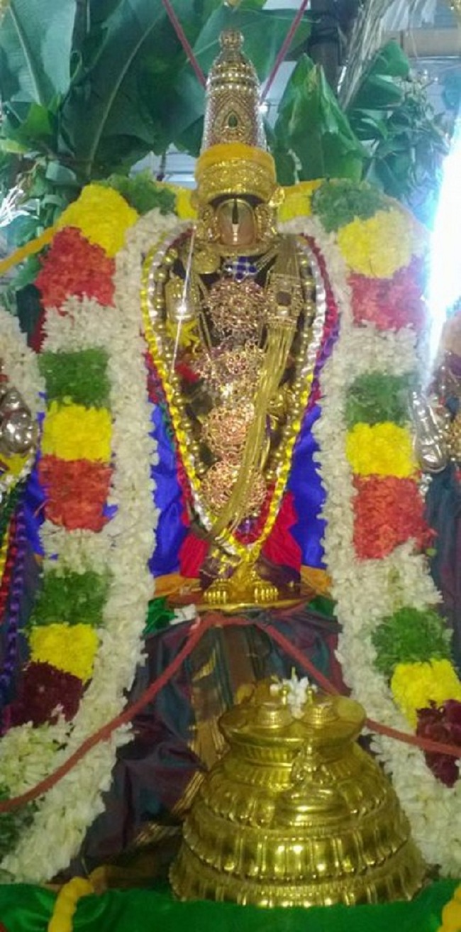 Vanamamalai Sri Deivanayaga Perumal Temple Jaya Varusha Pavithrotsavam Commences5