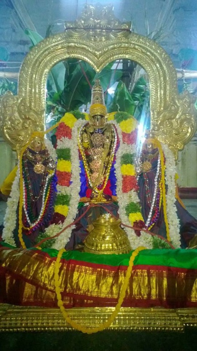 Vanamamalai Sri Deivanayaga Perumal Temple Jaya Varusha Pavithrotsavam Commences6