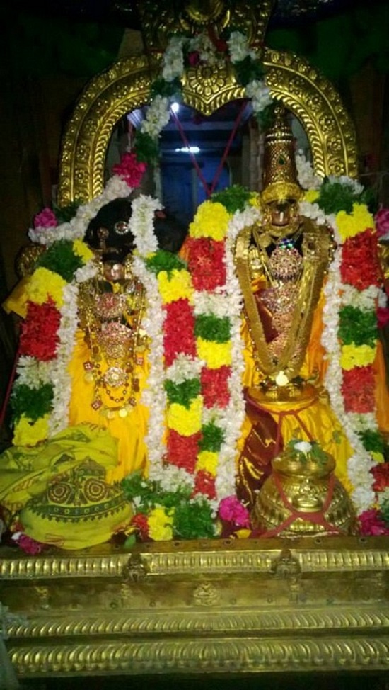 Vanamamalai Sri Deivanayaga Perumal Temple Jaya Varusha Pavithrotsavam Concludes1