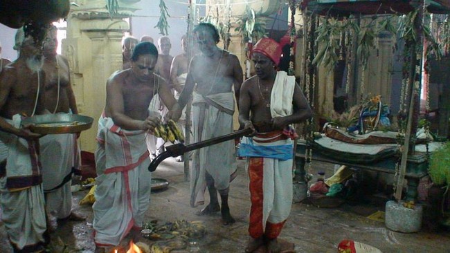 Vanamamalai Sri Deivanayaga Perumal Temple Jaya Varusha Pavithrotsavam Concludes14