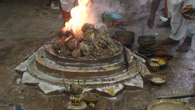 Vanamamalai Sri Deivanayaga Perumal Temple Jaya Varusha Pavithrotsavam Concludes2