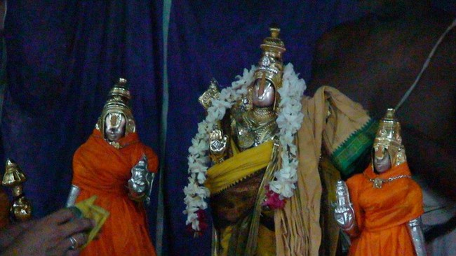 Vanamamalai Sri Deivanayaga Perumal Temple Jaya Varusha Pavithrotsavam Concludes4