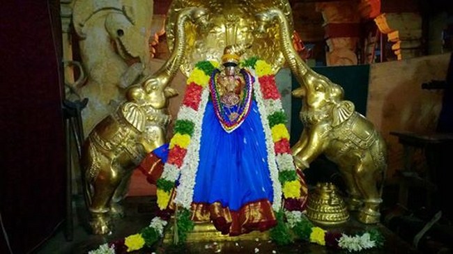 Vanamamalai Sri Deivanayaga Perumal Temple Jaya Varusha Pavithrotsavam1