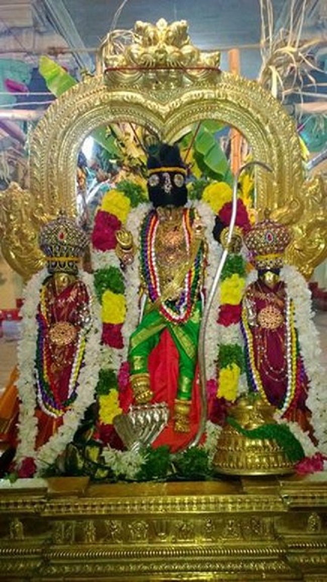 Vanamamalai Sri Deivanayaga Perumal Temple Jaya Varusha Pavithrotsavam10