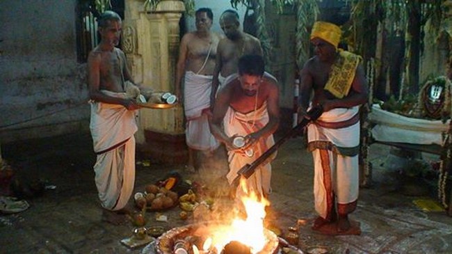 Vanamamalai Sri Deivanayaga Perumal Temple Jaya Varusha Pavithrotsavam11