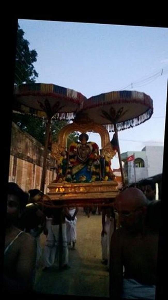 Vanamamalai Sri Deivanayaga Perumal Temple Jaya Varusha Pavithrotsavam2