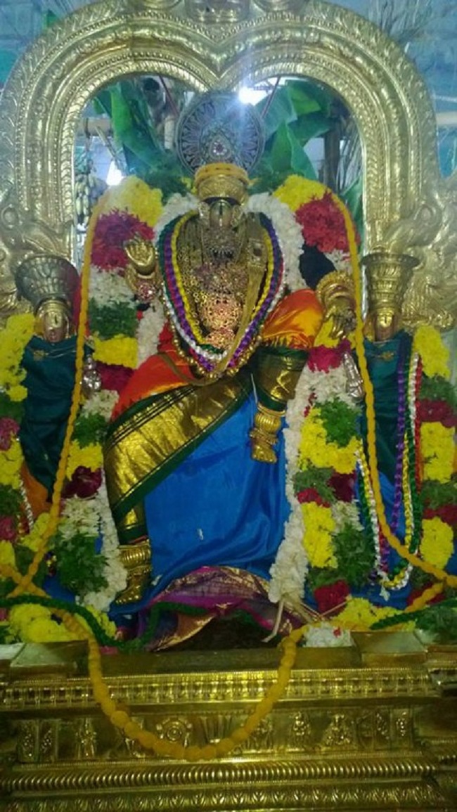 Vanamamalai Sri Deivanayaga Perumal Temple Jaya Varusha Pavithrotsavam3