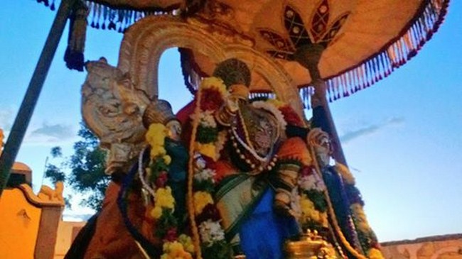 Vanamamalai Sri Deivanayaga Perumal Temple Jaya Varusha Pavithrotsavam4
