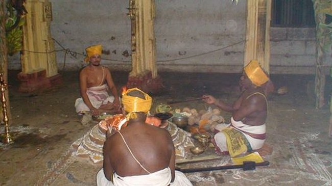 Vanamamalai Sri Deivanayaga Perumal Temple Jaya Varusha Pavithrotsavam5