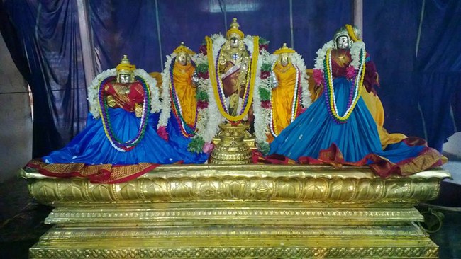 Vanamamalai Sri Deivanayaga Perumal Temple Jaya Varusha Pavithrotsavam8