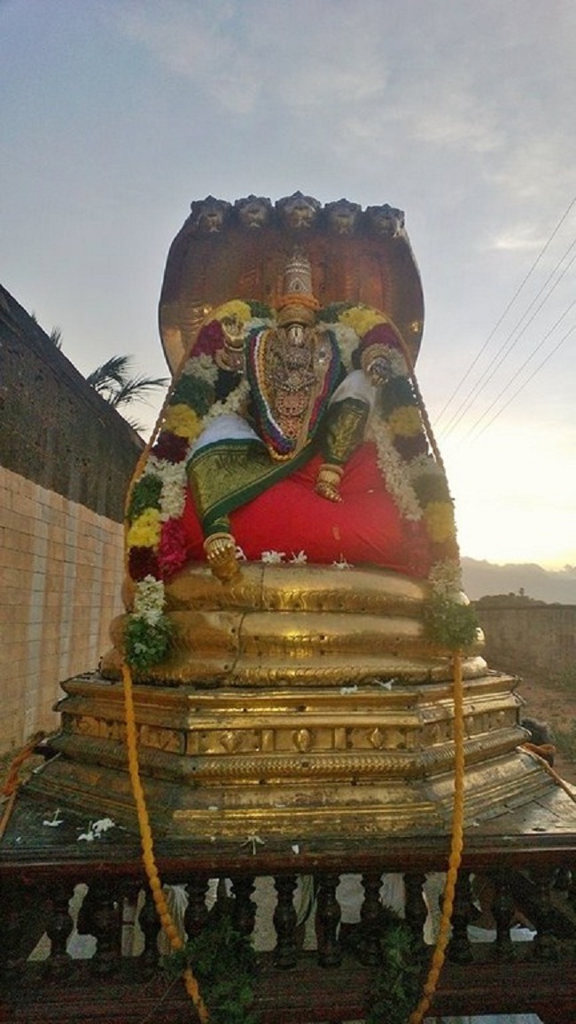 Vanamamalai Sri Deivanayaga Perumal Temple Jaya Varusha Pavithrotsavam9