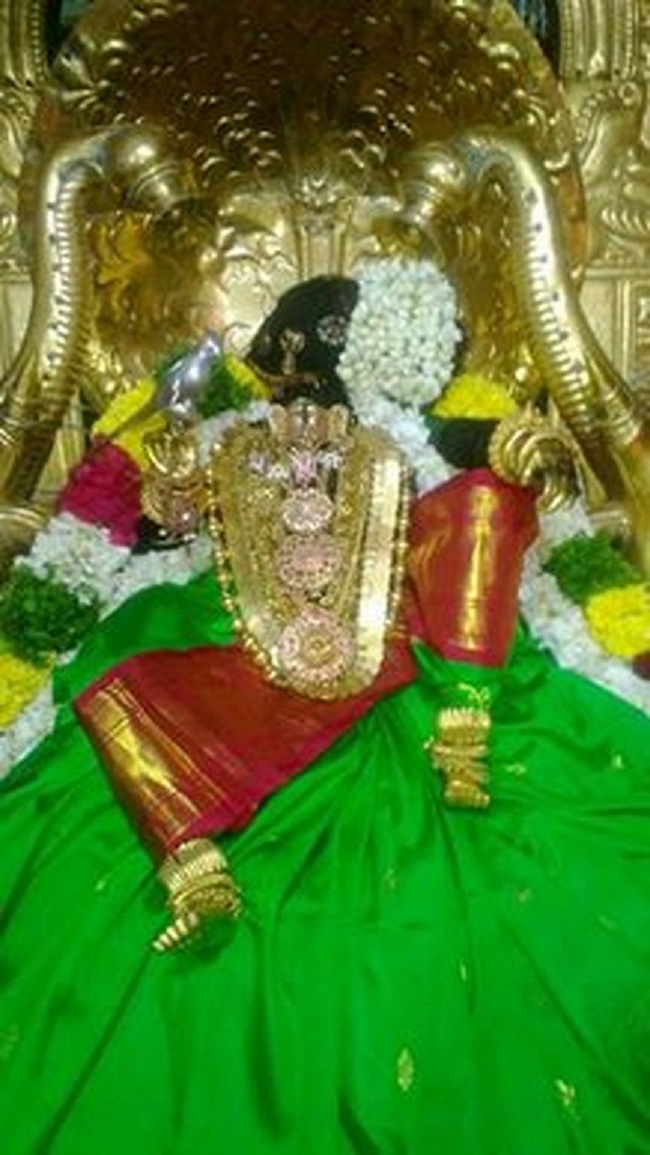 Vanamamalai Sri Deivanayaga Perumal Temple Navarathiri Utsavam Commences6