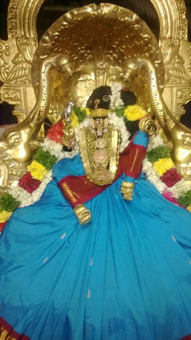 Vanamamalai Sri Deivanayaga Perumal Temple Navarathiri Utsavam1