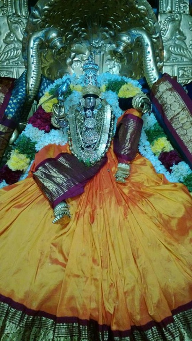 Vanamamalai Sri Deivanayaga Perumal Temple Navarathiri Utsavam3