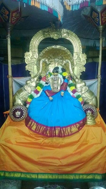 Vanamamalai Sri Deivanayaga Perumal Temple Navarathiri Utsavam5