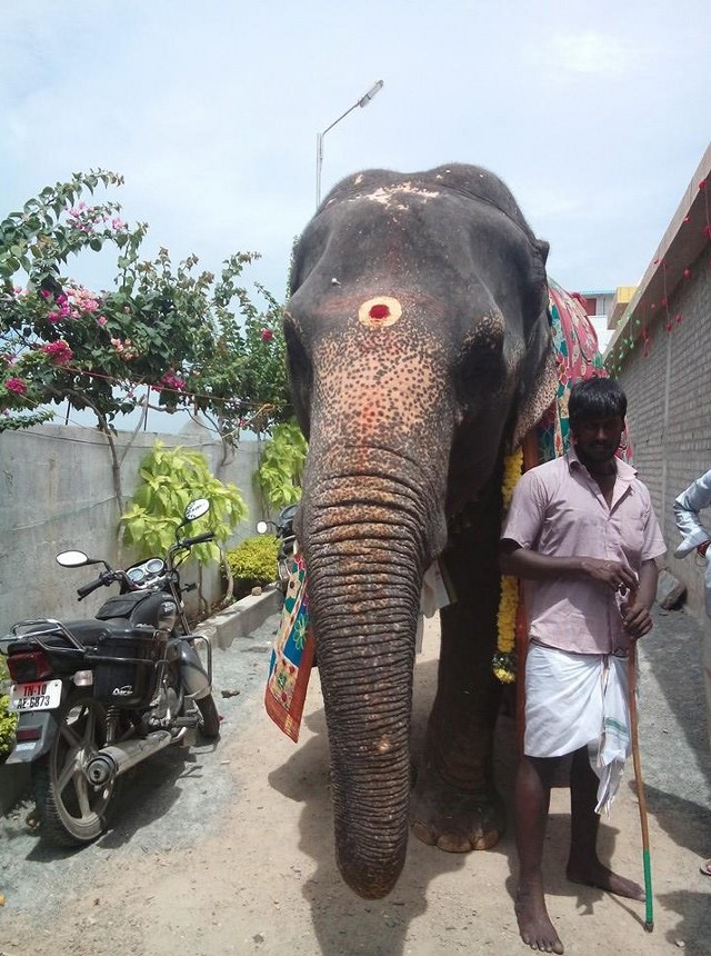 Villupuram Ongur Sri Lakshmi Narayana Perumal Mahasamprokshanm 3  kaala poojai 2014  04