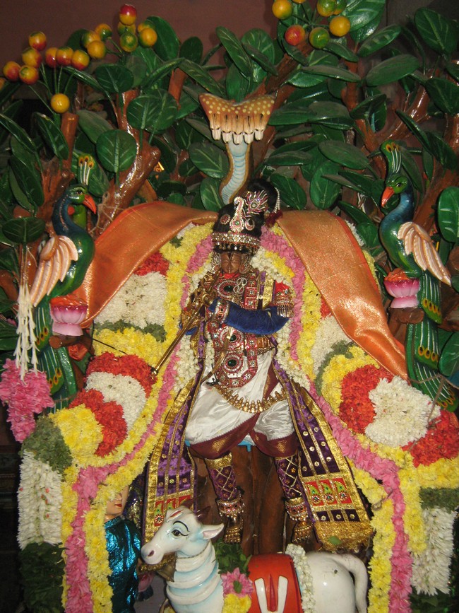 West Mambalam Sri KothandaRamaswamy temple Sri Jayanthi  2014 03