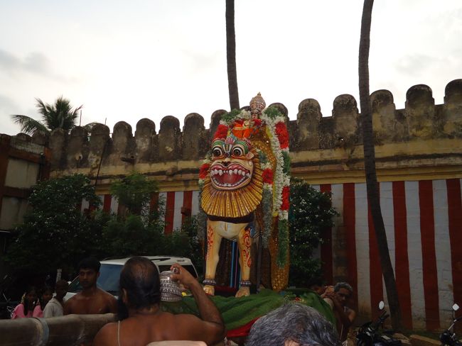 29th oct 14 simha vaahanam srirangam poundrigapuram ashram swami desikan (21)