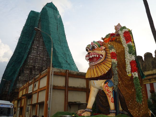 29th oct 14 simha vaahanam srirangam poundrigapuram ashram swami desikan (22)