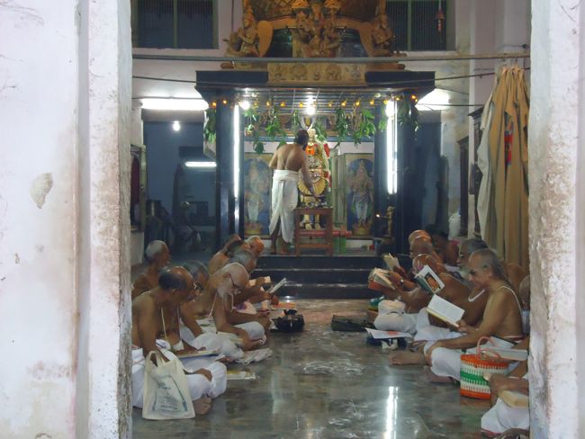 29th oct 14 simha vaahanam srirangam poundrigapuram ashram swami desikan (45)