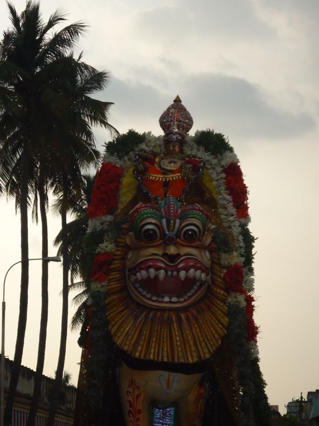 29th oct 14 simha vaahanam srirangam poundrigapuram ashram swami desikan (9)