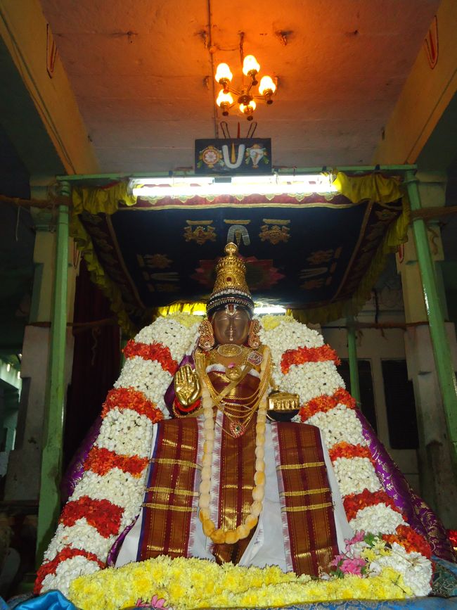5th oct 14 swami desikar and villakolli perumal purapadu 7 to 9am (14)