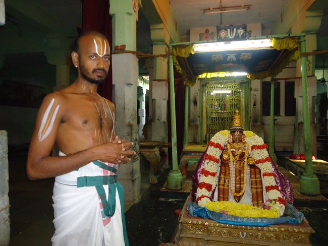 5th oct 14 swami desikar and villakolli perumal purapadu 7 to 9am (18)