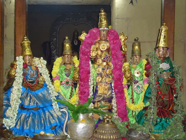 5th oct 14 swami desikar and villakolli perumal purapadu 7 to 9am (2)