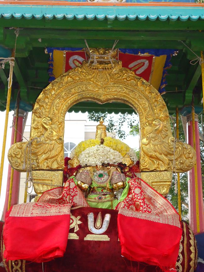 5th oct 14 swami desikar and villakolli perumal purapadu 7 to 9am (31)
