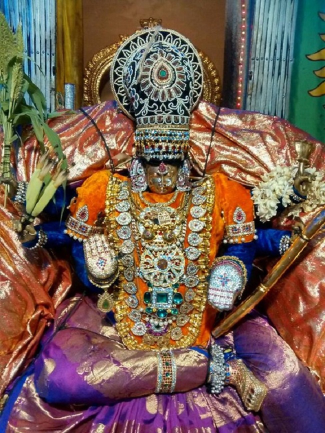 Alwarpet Sri Kothandaramar Temple Navarathiri Utsavam14