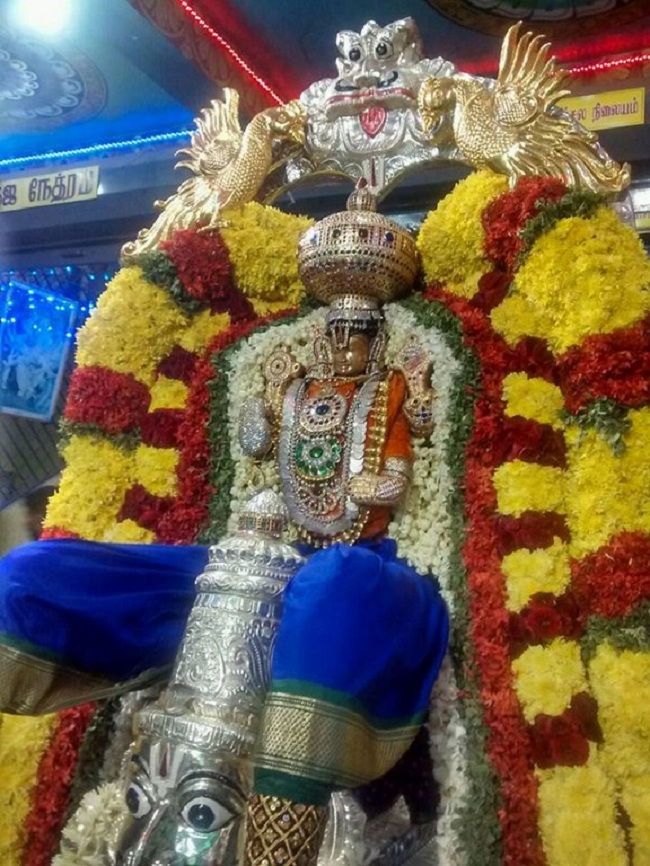 Alwarpet Sri Kothandaramar Temple Purattasi Sanni Kizhamai Garuda Sevai1